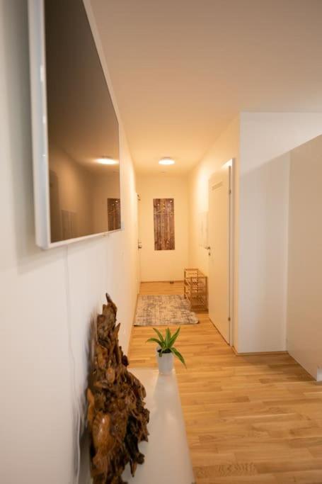 Schoenes Living Am Donauufer Viena Exterior foto